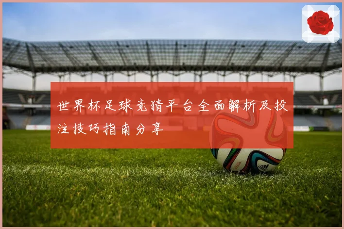 世界杯足球竞猜平台全面解析及投注技巧指南分享