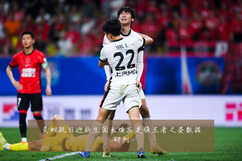 灵蛇脱旧迎新生国米焕发更强王者之姿数据研判